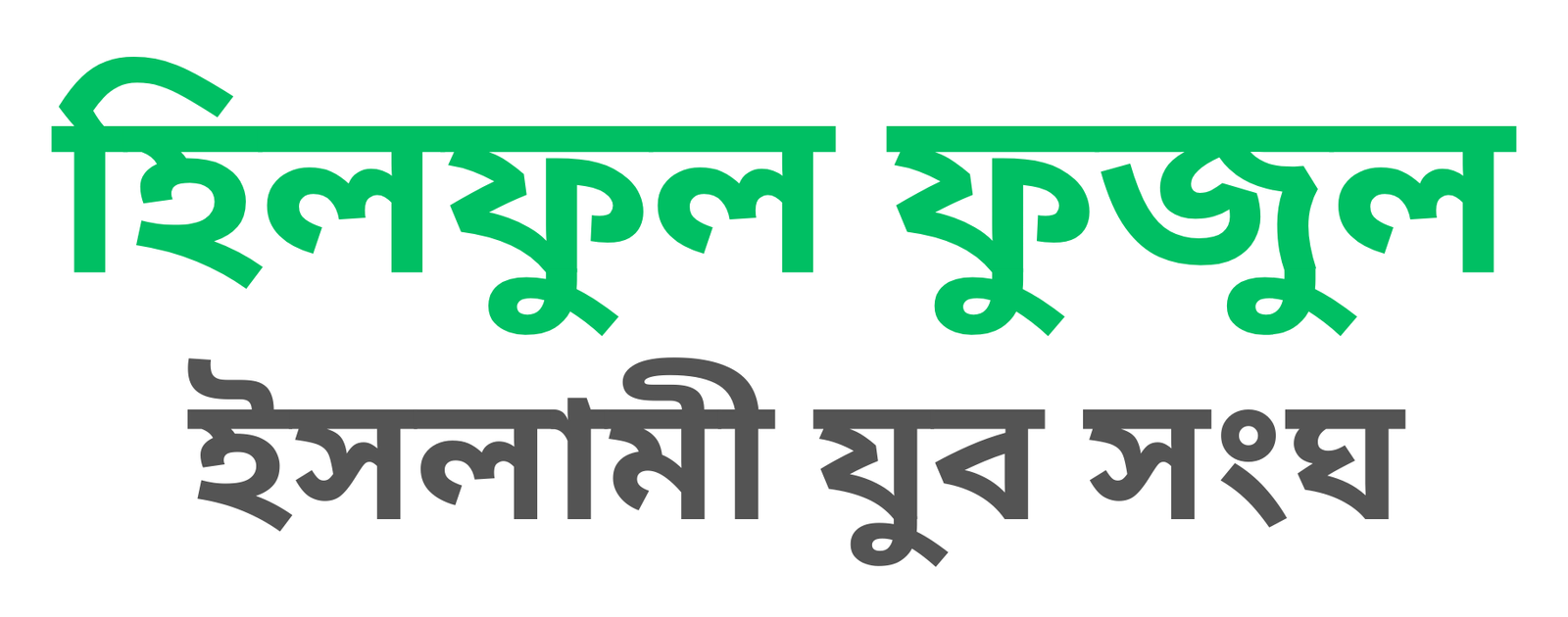 হিলফুল ফুজুল ইসলামী যুব সংঘ